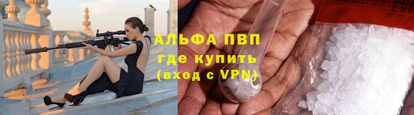 сатива Балахна