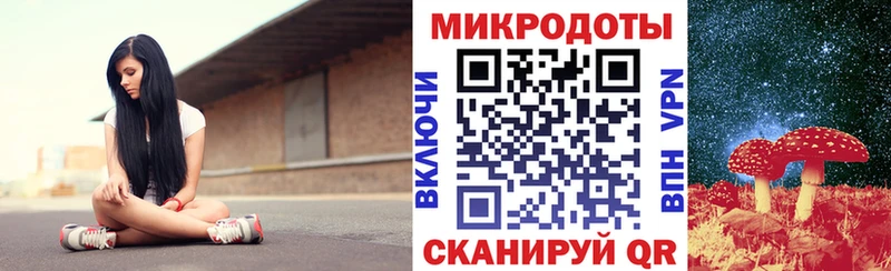 Псилоцибиновые грибы Psilocybine cubensis  Кущёвская 